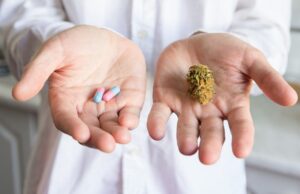 Medicine Could Learn from Cannabis